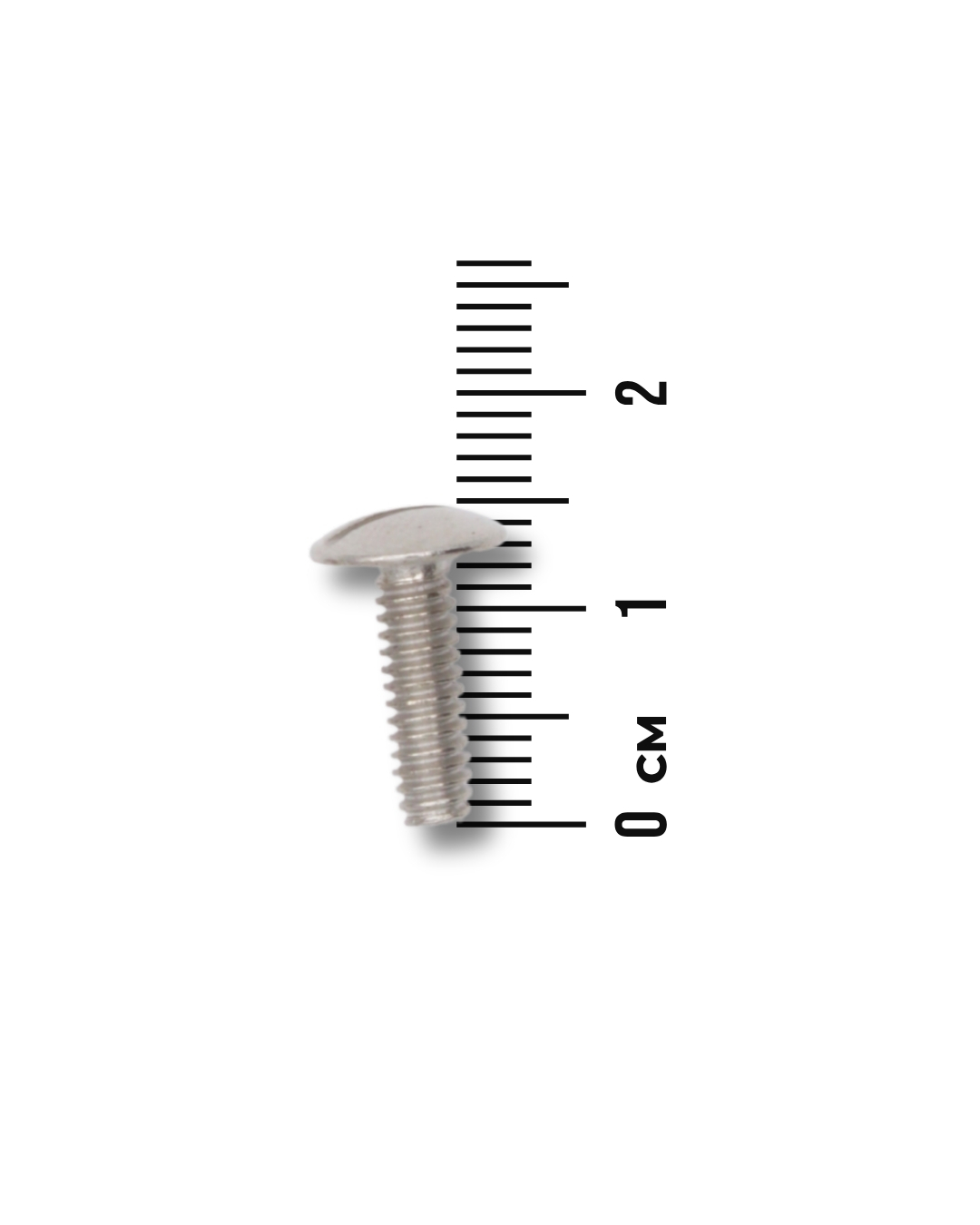 1,5 cm