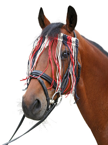 Fliegen-Fransenband rot-weiß-schwarz