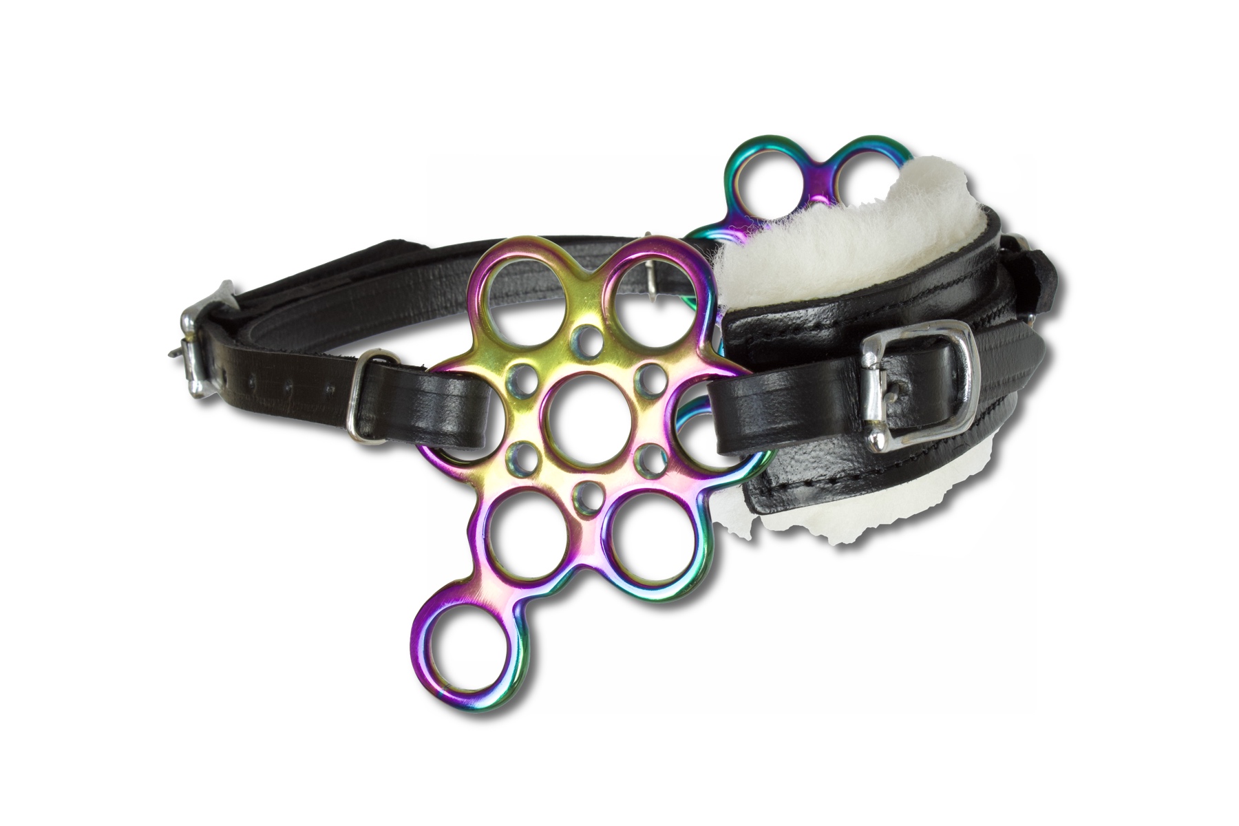 Hackamore, flower, rainbow, Leder schwarz