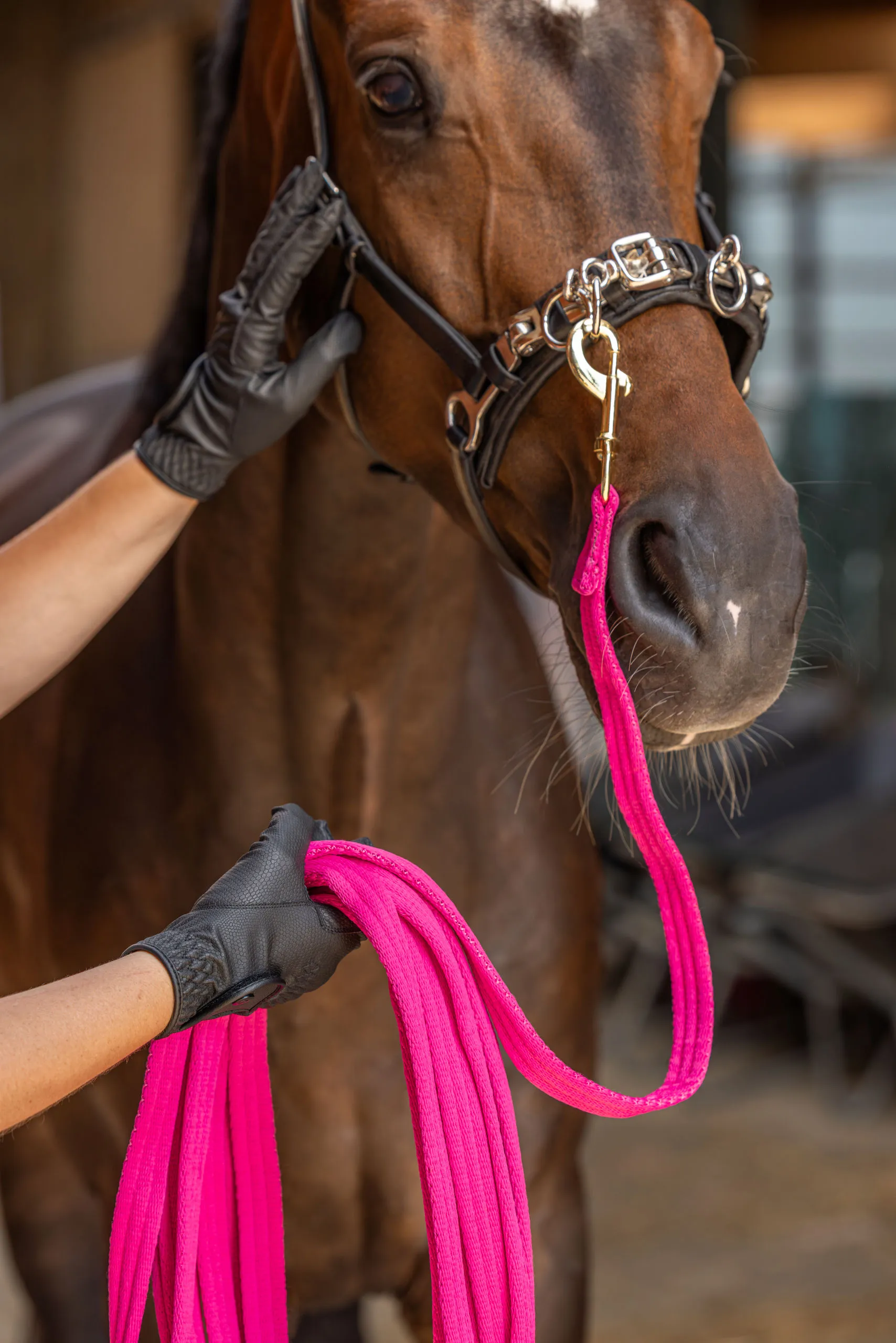 Longierleine Softlonge pink