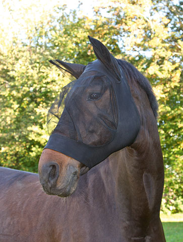 Fliegenschutzmaske FinoStretch schwarz